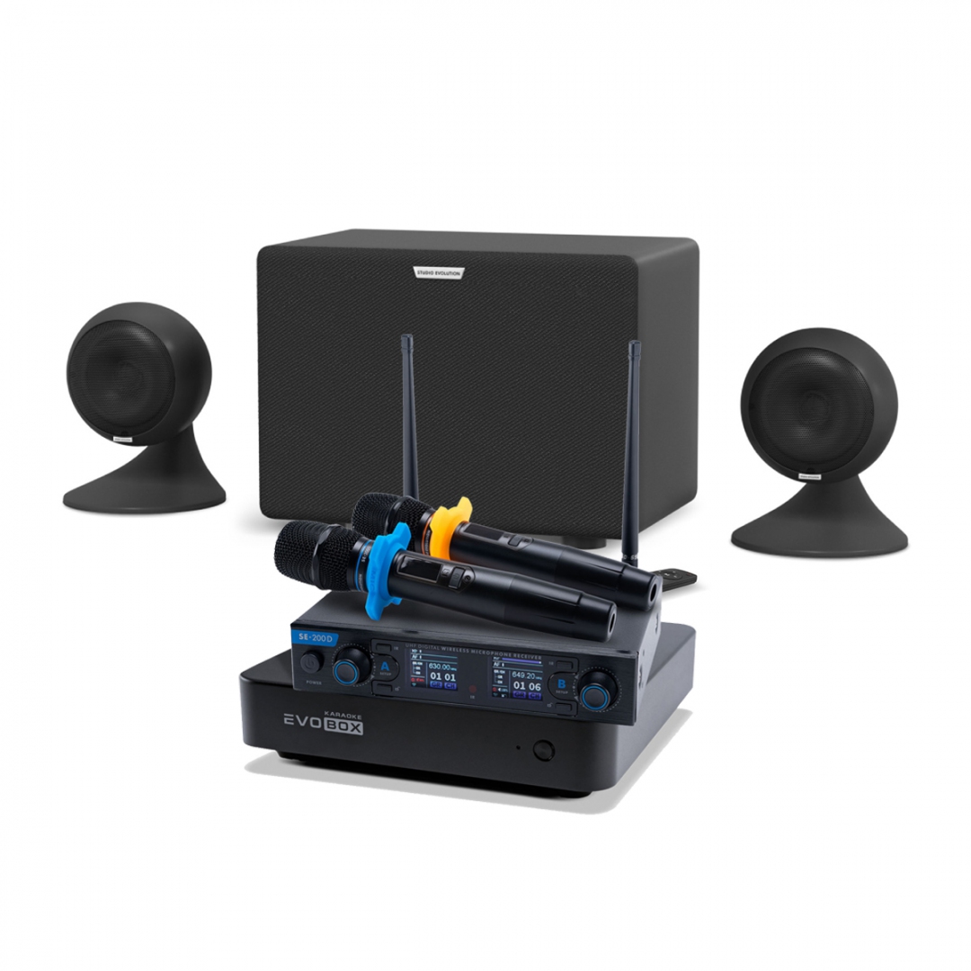 караоке-комплект EVOBOX + EvoSound Sphere 2.1 в Минеральных Водах