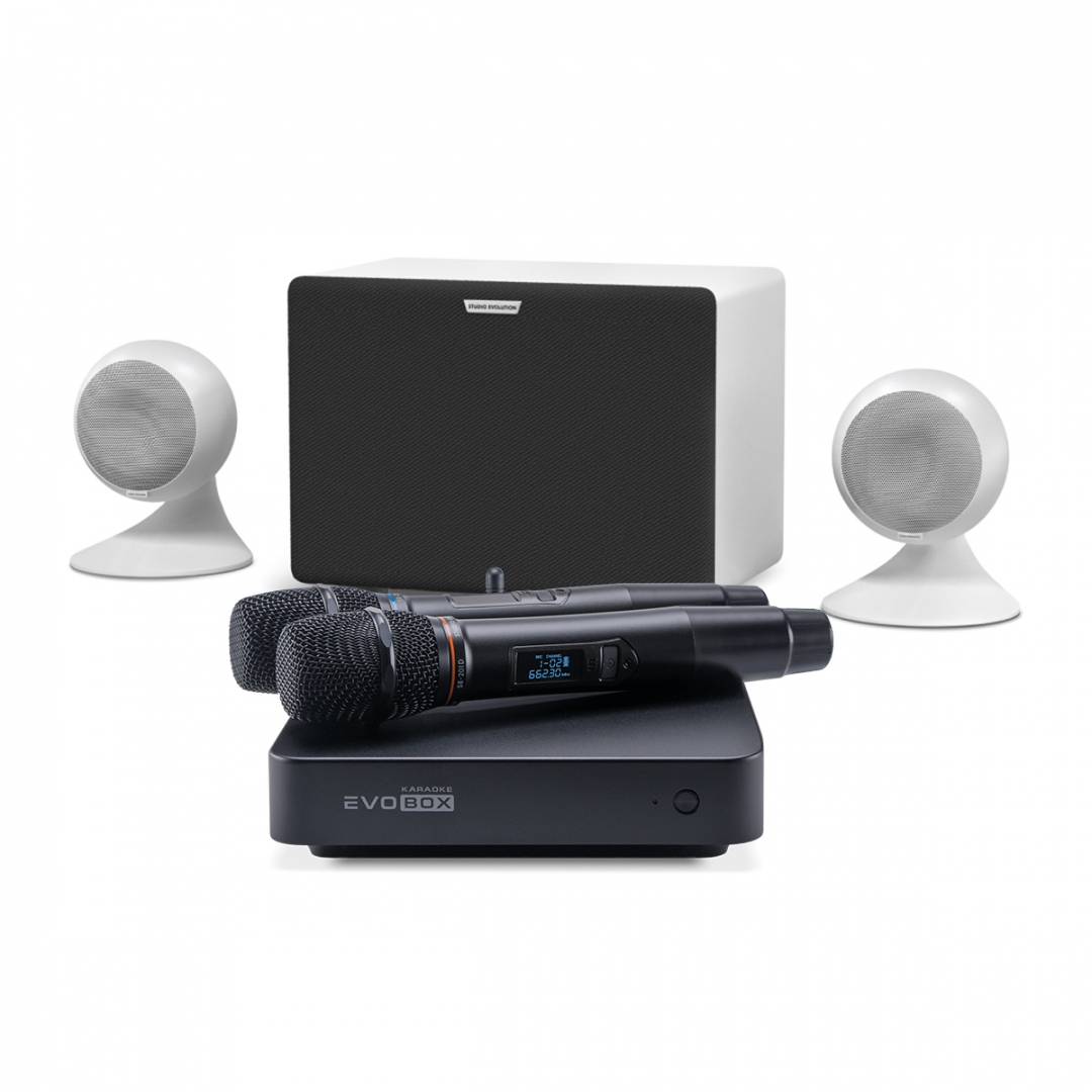 караоке-комплект EVOBOX Classic + EvoSound Sphere 2.1 в Минеральных Водах